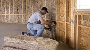 Best Crawl Space Insulation  in Milford, IN